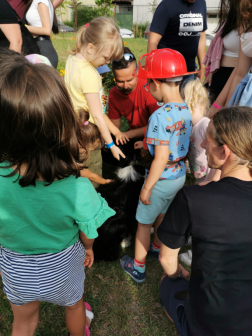 Mentőkutyák is szeretik a simogatást