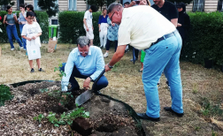 Az első tövet Vinczek György és Dr. Berki Imre ültette el