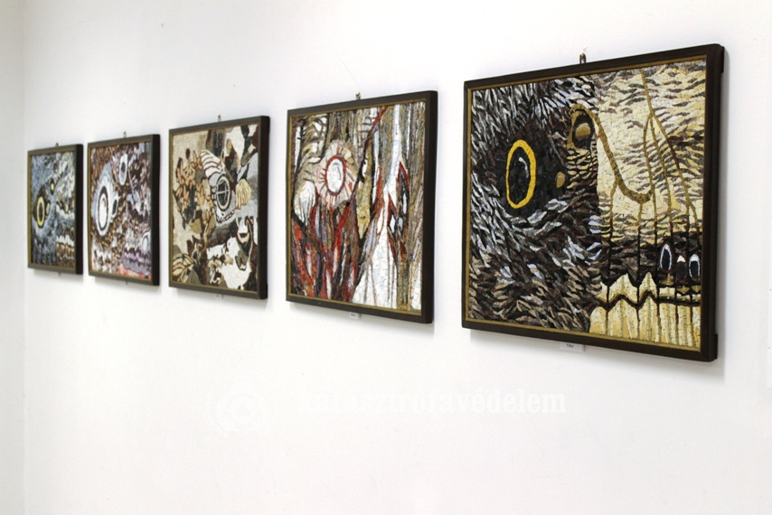 Katasztrófavédelem