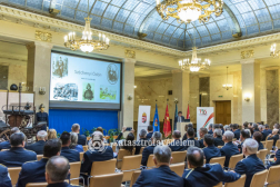 Katasztrófavédelem