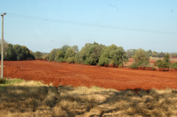 Katasztrófavédelem