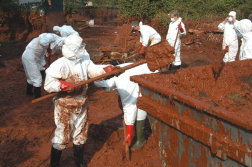 Katasztrófavédelem