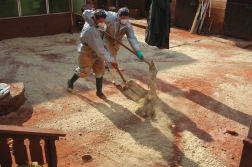 Katasztrófavédelem