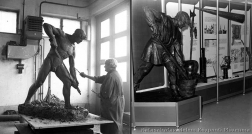 Katasztrófavédelem