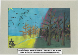 Gavrylkiv Andrei (12 éves, Nyíregyháza TINI’ART Képzős Műhely és a FREE DANCE Művészeti Iskola): Erdőtűznél megküzdeni a lángokkal és hővel, csak a legesleghosszabb vízvezetőcsővel! Felkészítő: Nagy Z